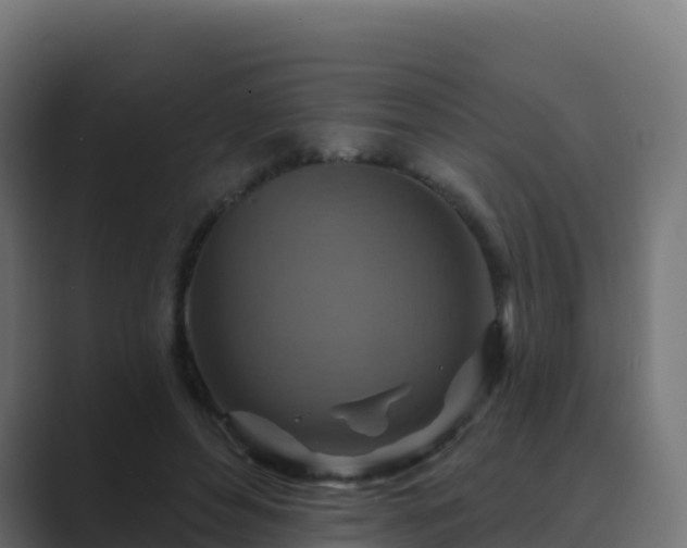 X0000089720496200706281533