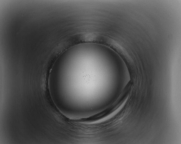 X0000089720497200706281533