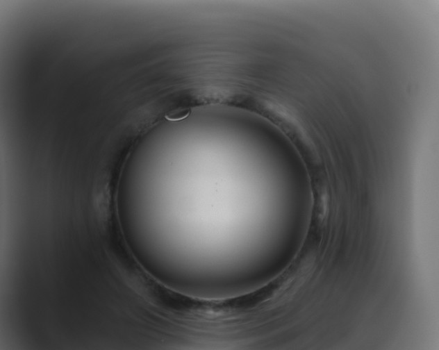 X0000089720498200706281533