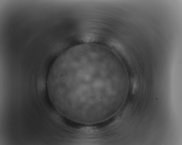 X0000089720499200706281533