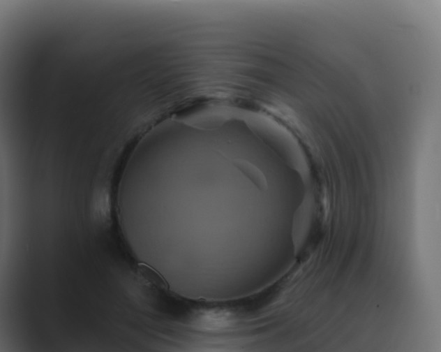 X0000089720500200706281533