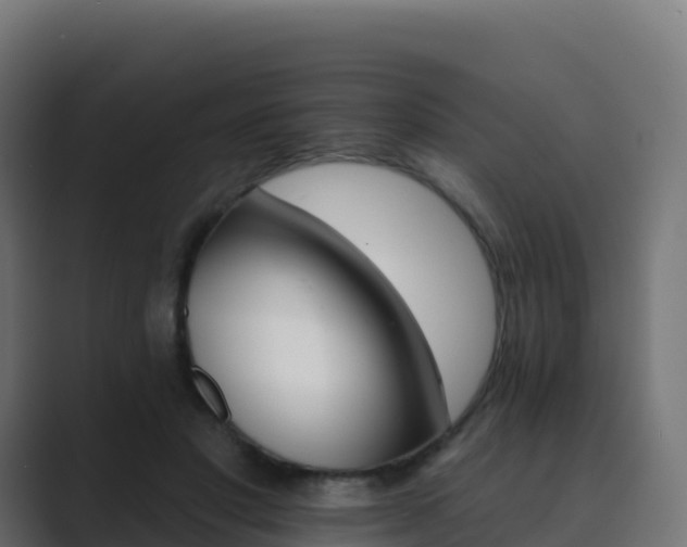 X0000089720501200706281533