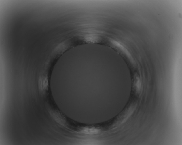 X0000089720502200706281533