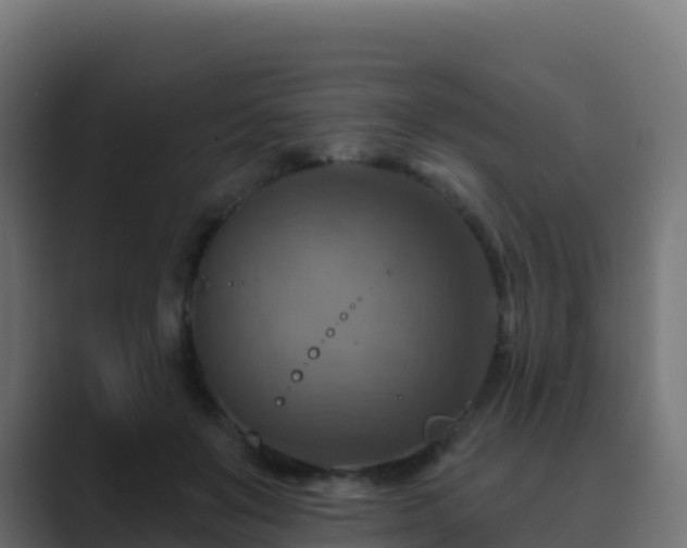 X0000089720503200706281533