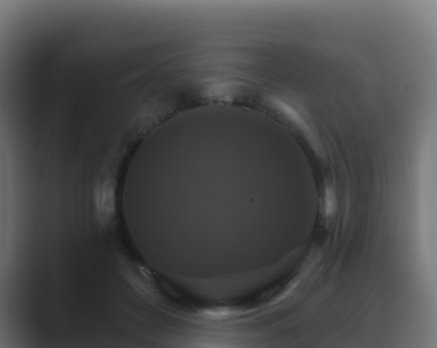 X0000089720504200706281533