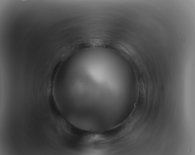 X0000089720507200706281533