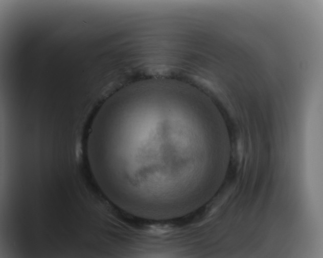 X0000089720508200706281533