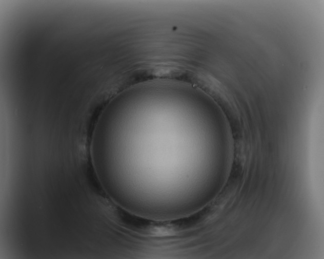 X0000089720510200706281533