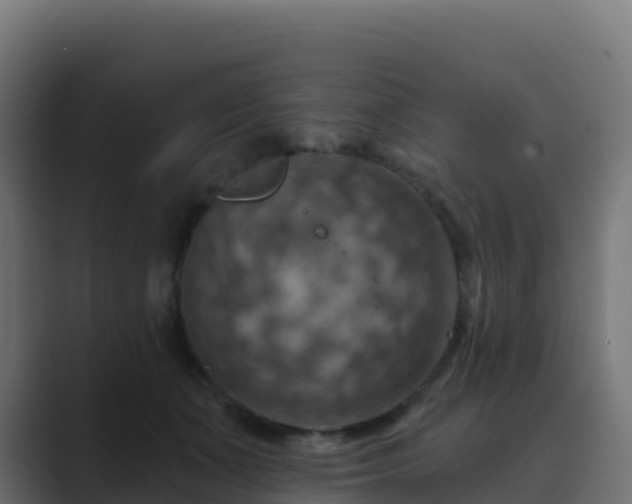 X0000089720511200706281533