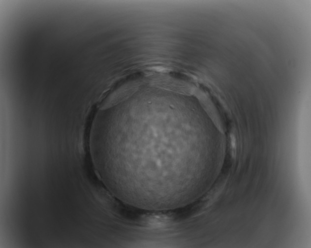 X0000089720512200706281533