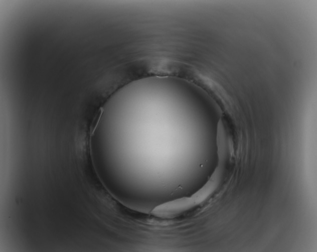X0000089720513200706281533