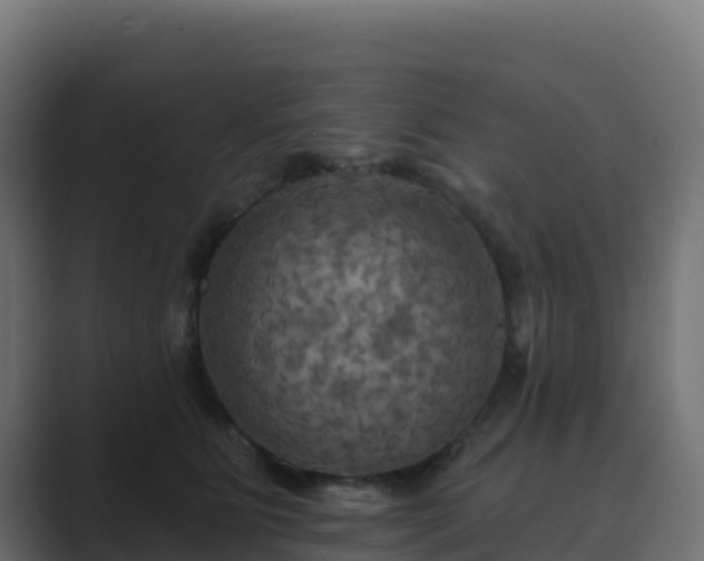 X0000089720515200706281533