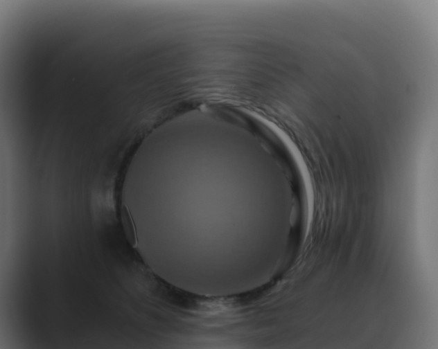 X0000089720516200706281533
