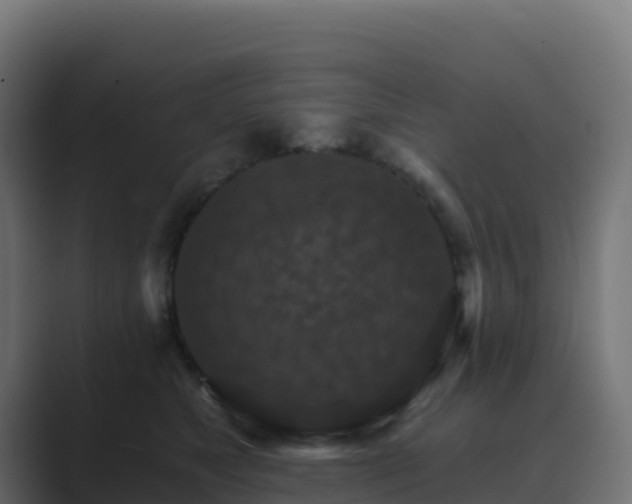X0000089720517200706281533