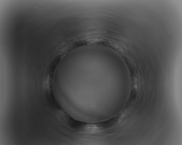 X0000089720519200706281533