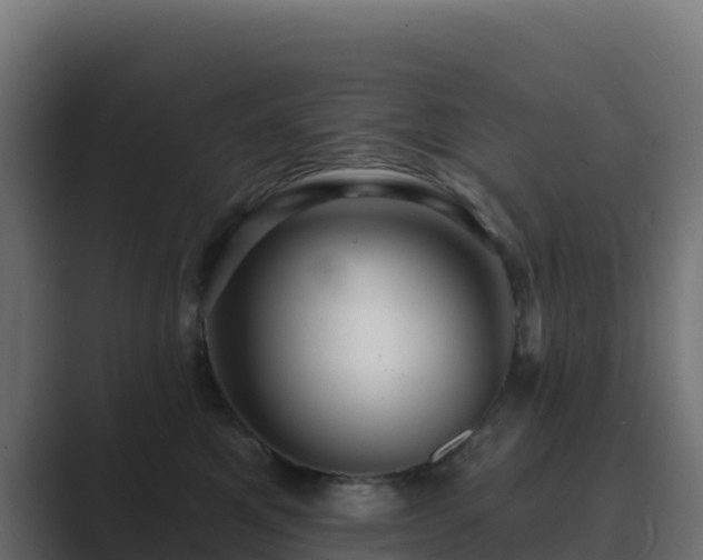 X0000089720521200706281533