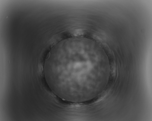 X0000089720523200706281533