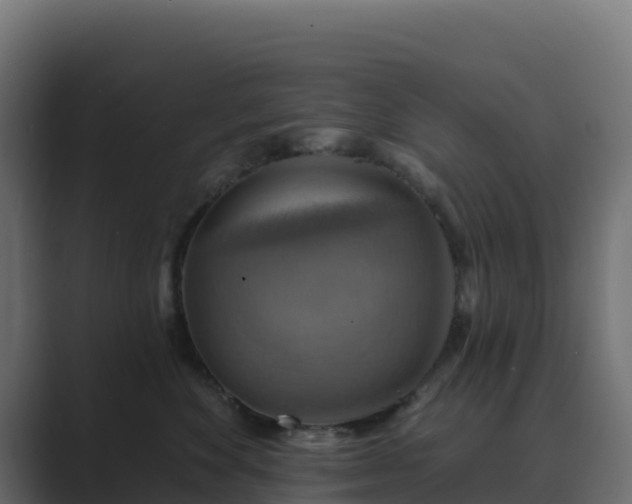 X0000089720524200706281533