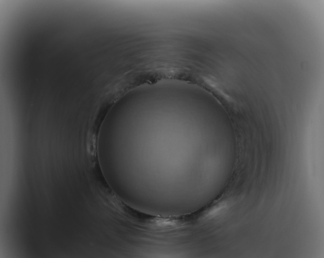 X0000089720528200706281533