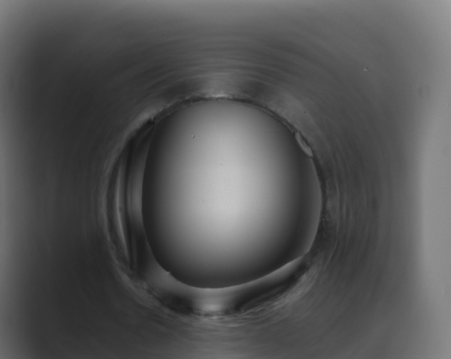 X0000089720530200706281532