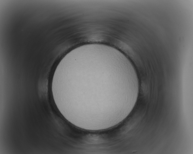 X0000089720534200706281532
