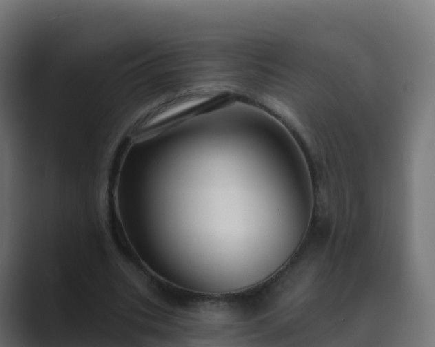 X0000089720535200706281532