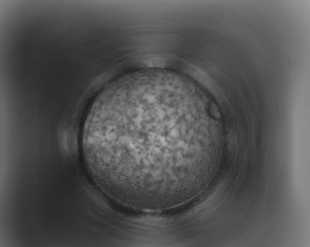 X0000089720537200706281532