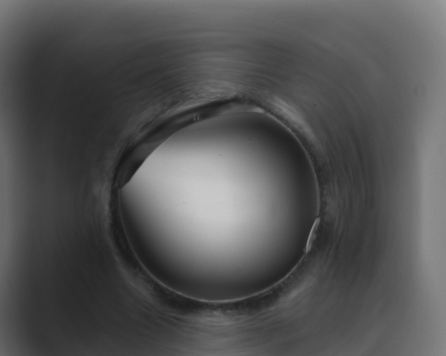 X0000089720538200706281532