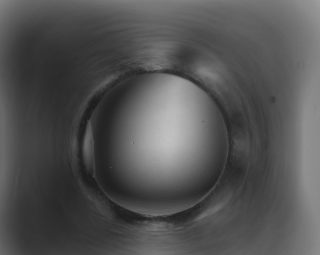 X0000089720539200706281532