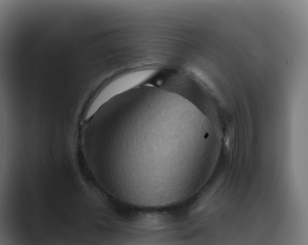 X0000089720540200706281532