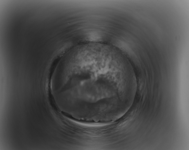 X0000089720542200706281532