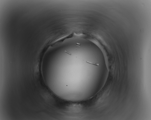 X0000089720543200706281532