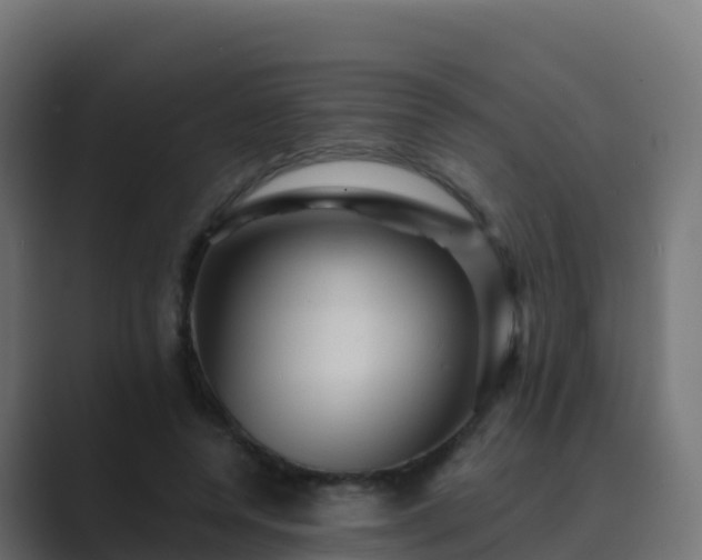 X0000089720544200706281532