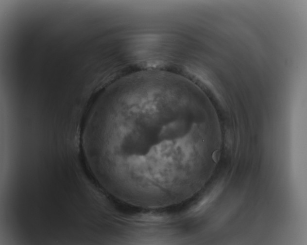 X0000089720545200706281532