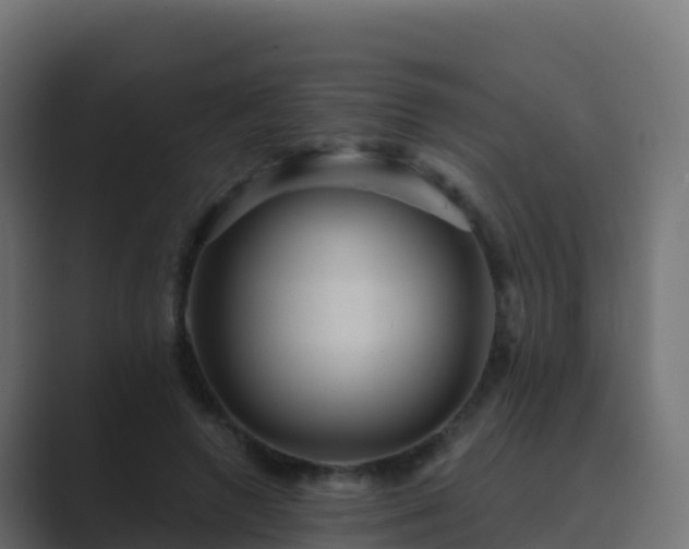 X0000089720546200706281532