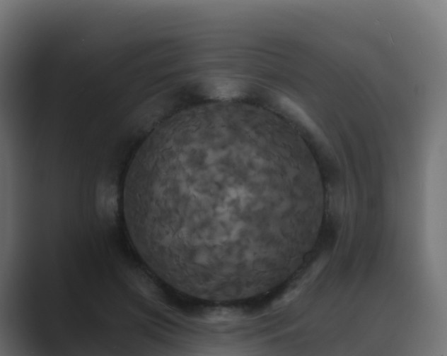X0000089720549200706281532