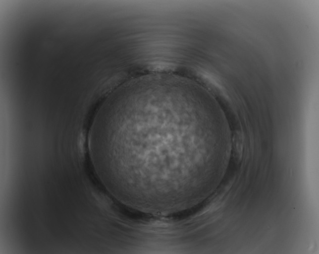 X0000089720550200706281532