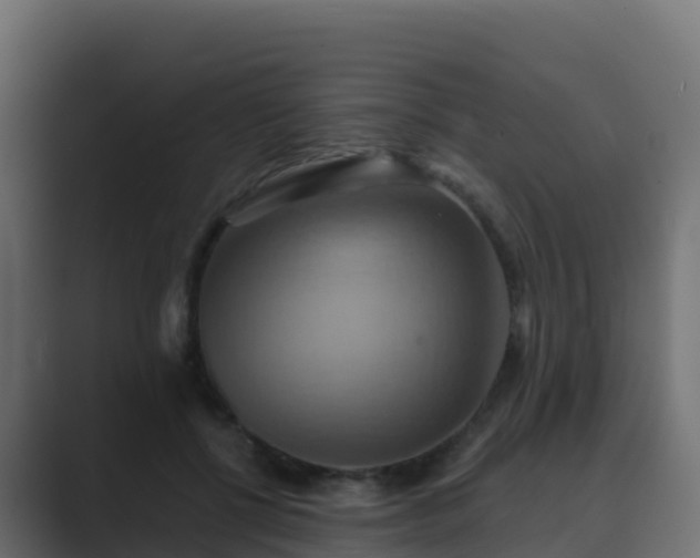 X0000089720552200706281532