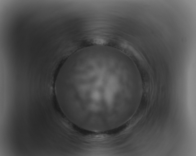 X0000089720553200706281533