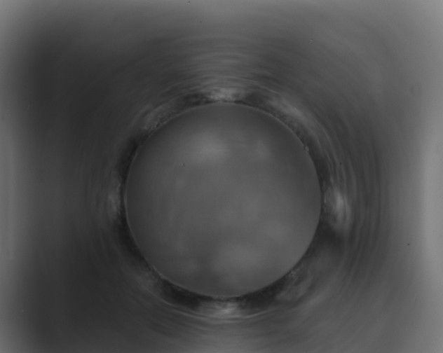 X0000089720554200706281533
