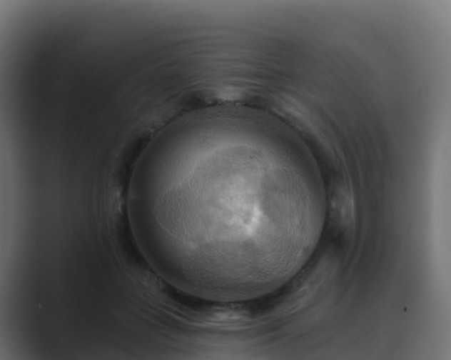 X0000089720555200706281533