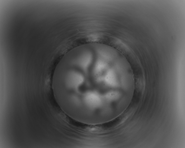 X0000089720557200706281533