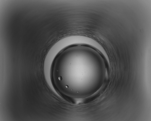 X0000089720558200706281533
