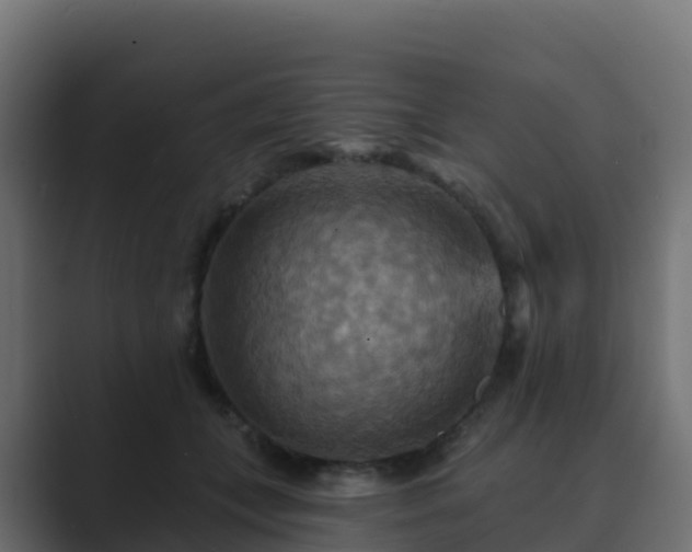 X0000089720559200706281533