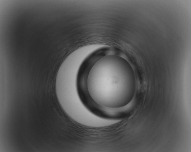 X0000089720560200706281533