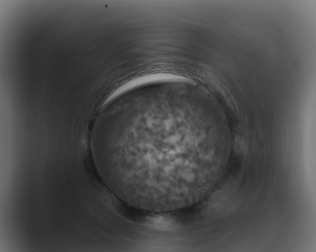 X0000089720561200706281533