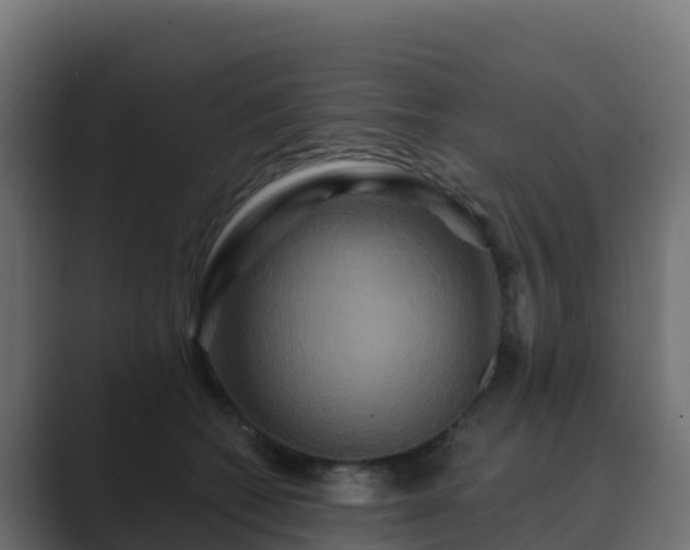 X0000089720562200706281533