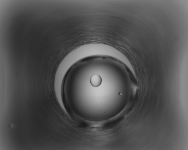 X0000089720564200706281533