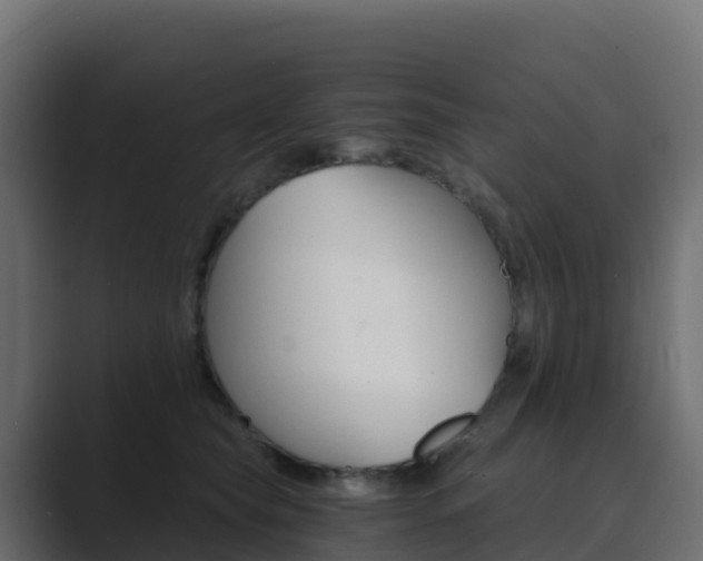 X0000089720565200706281533