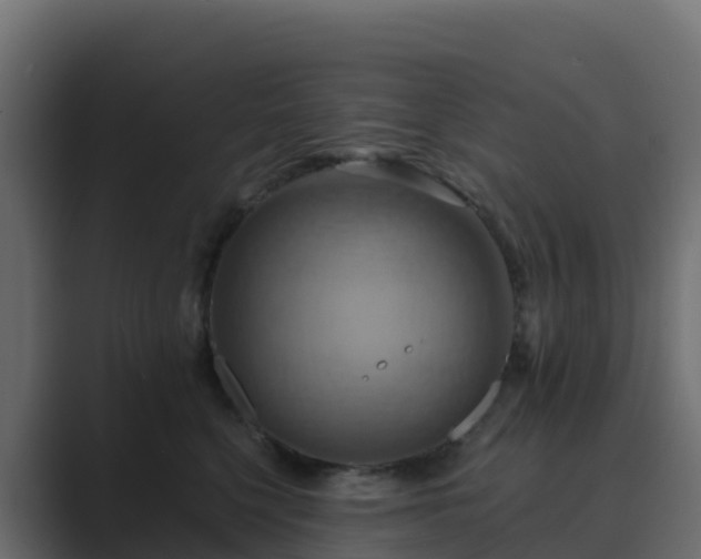 X0000089720568200706281533